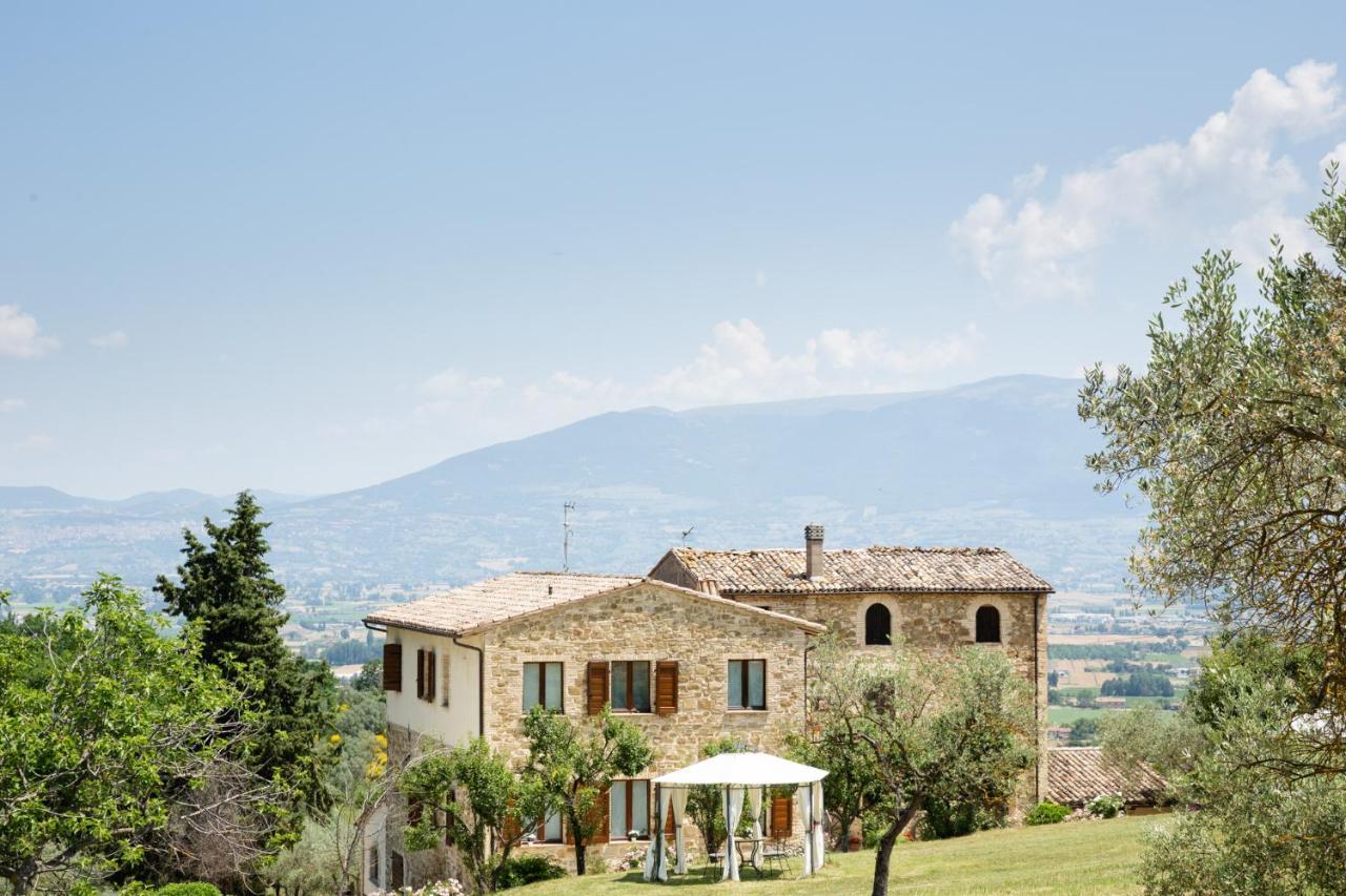 Villa Colle Di Rocco Limigiano 외부 사진