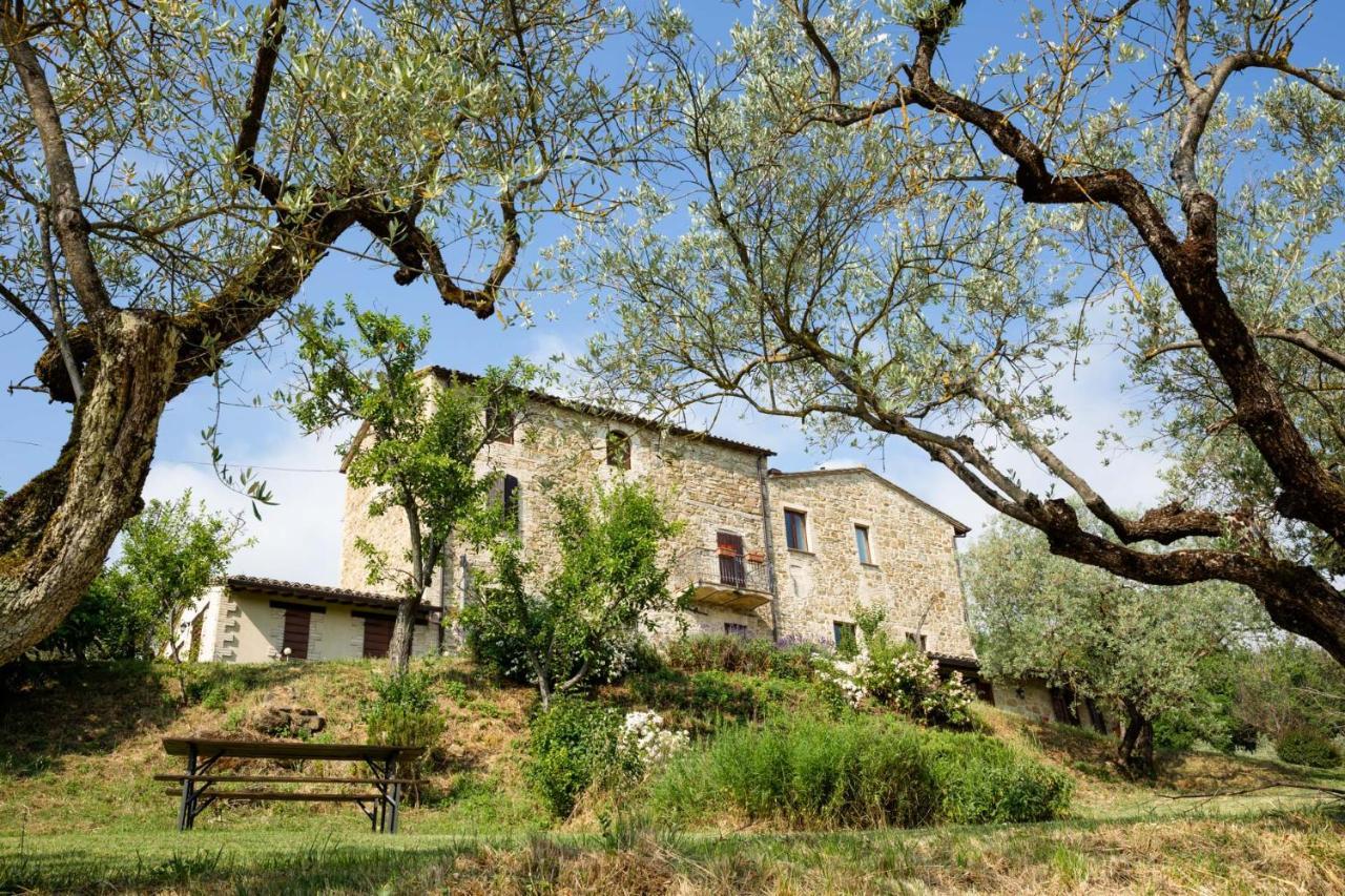 Villa Colle Di Rocco Limigiano 외부 사진