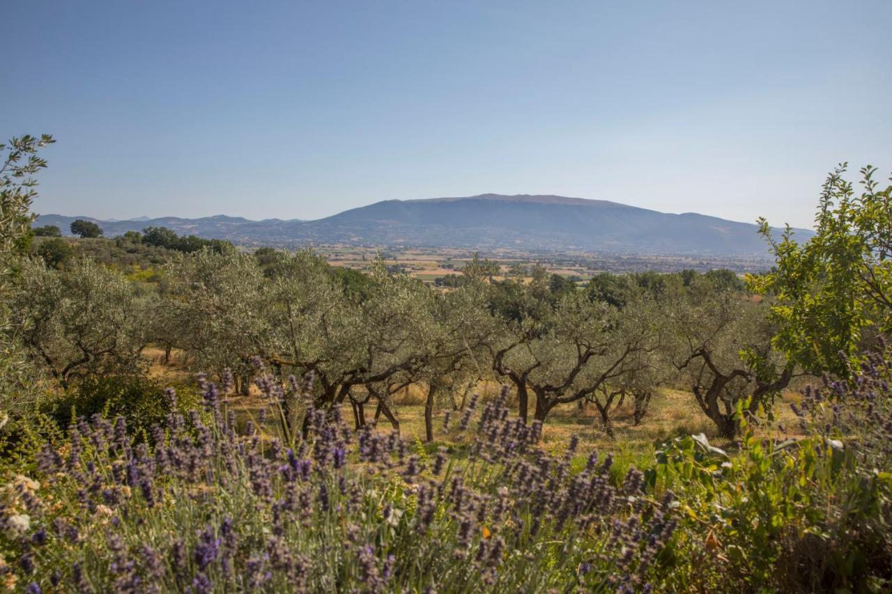 Villa Colle Di Rocco Limigiano 외부 사진