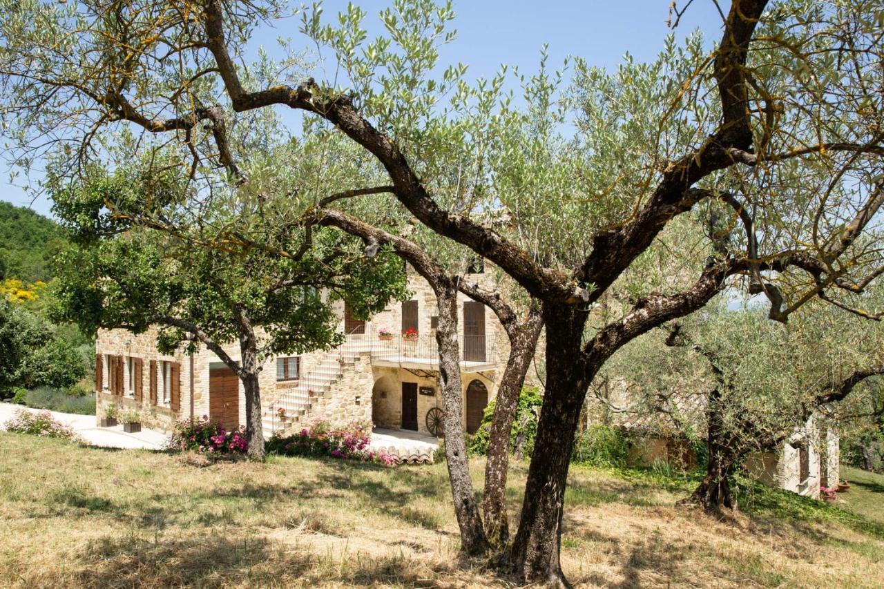 Villa Colle Di Rocco Limigiano 외부 사진